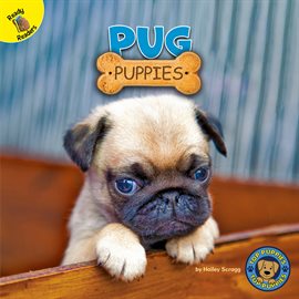 Cover image for Pug Puppies