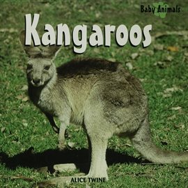 Cover image for Kangaroos