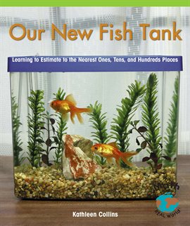 Cover image for Our New Fish Tank