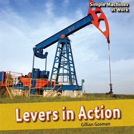 Cover image for Levers in Action
