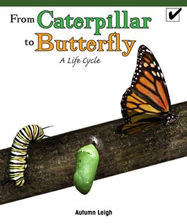 Cover image for From Caterpillar to Butterfly: A Life Cycle