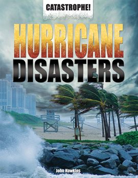 Cover image for Hurricane Disasters