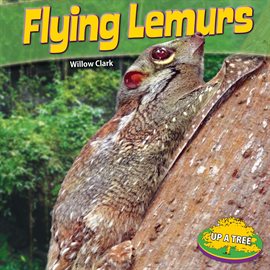 Imagen de portada para Flying Lemurs