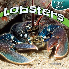 Cover image for Lobsters