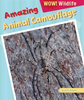 Cover image for Amazing Animal Camouflage