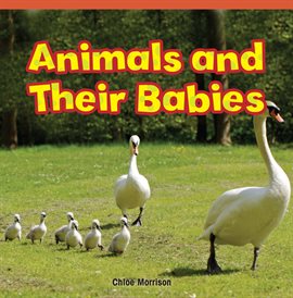 Imagen de portada para Animals and Their Babies