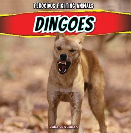 Cover image for Dingoes