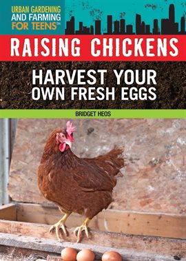 Cover image for Raising Chickens
