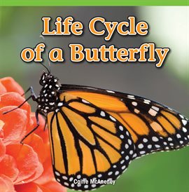 Cover image for Life Cycle of a Butterfly