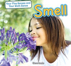 Cover image for Smell