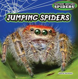 Cover image for Jumping Spiders