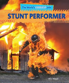 Cover image for Stunt Performer