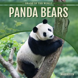 Cover image for Panda Bears