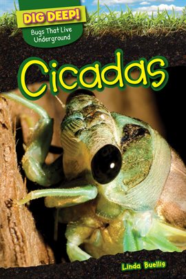 Imagen de portada para Cicadas