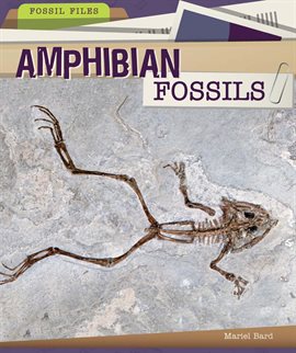 Cover image for Amphibian Fossils