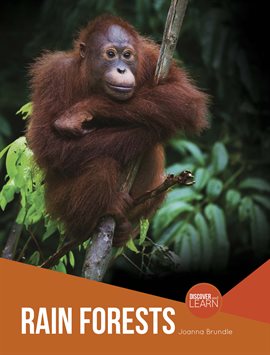 Cover image for Rain Forests