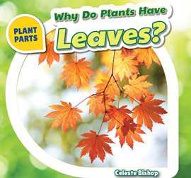 Imagen de portada para Why Do Plants Have Leaves?