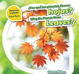 Imagen de portada para ¿Por qué las plantas tienen hojas? / Why Do Plants Have Leaves?