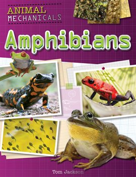 Cover image for Amphibians