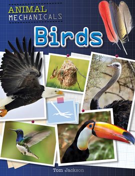 Cover image for Birds