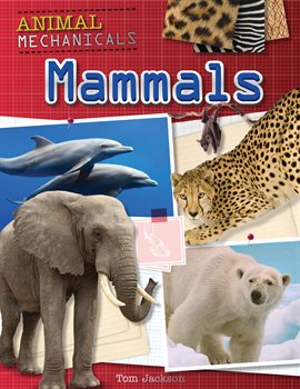 Cover image for Mammals