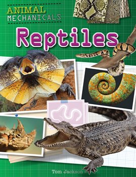 Cover image for Reptiles