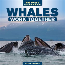 Cover image for Whales Work Together