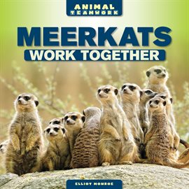 Cover image for Meerkats Work Together
