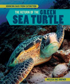 Cover image for The Return of the Green Sea Turtle