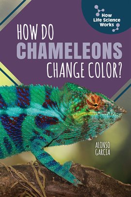 Cover image for How Do Chameleons Change Color?