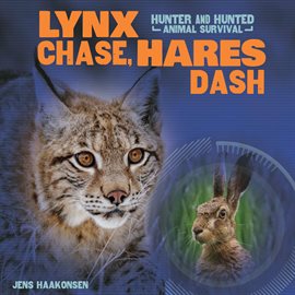Cover image for Lynx Chase, Hares Dash