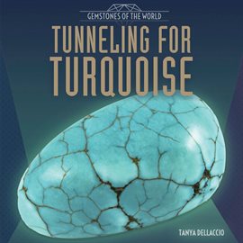 Cover image for Tunneling for Turquoise