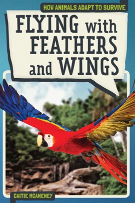 Cover image for Flying with Feathers and Wings