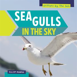 Cover image for Sea Gulls in the Sky