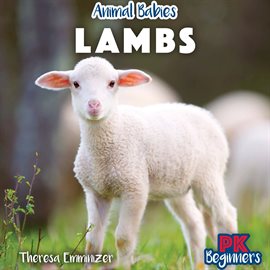 Cover image for Lambs