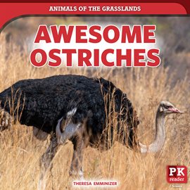 Cover image for Awesome Ostriches
