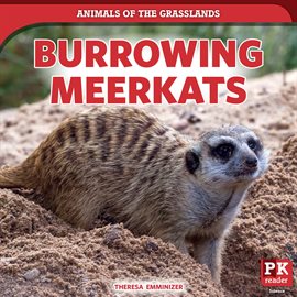 Cover image for Burrowing Meerkats