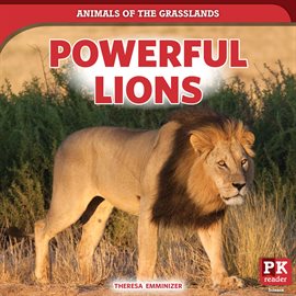 Cover image for Powerful Lions