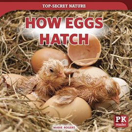Cover image for How Eggs Hatch