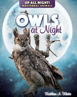 Cover image for Owls at Night