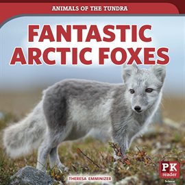 Cover image for Fantastic Arctic Foxes