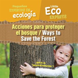 Acciones para proteger el bosque / Ways to Save the Forest