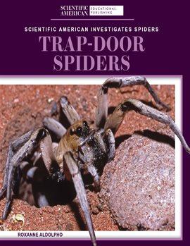 Imagen de portada para Trap-Door Spiders