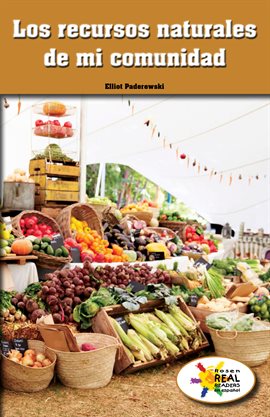 Cover image for Los recursos naturales de mi comunidad (The Natural Resources of My Community)