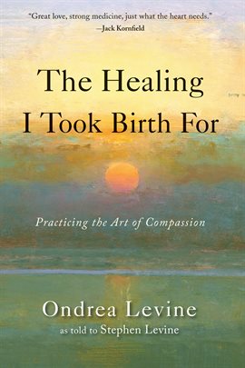 Cover image for The Healing I Took Birth For