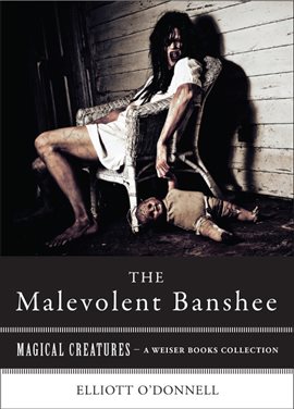 Cover image for Malevolent Banshe