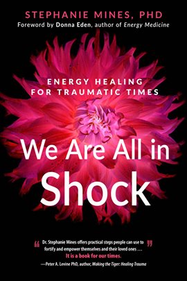 Cover image for We Are All in Shock