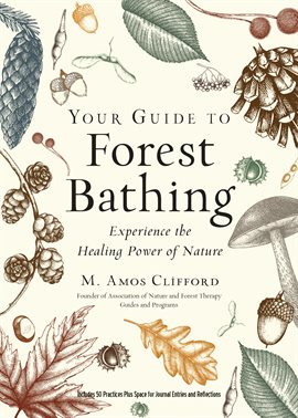 Cover image for Your Guide to Forest Bathing