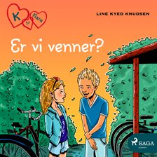ER VI Venner?