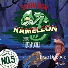 Spion Don kameleon en de tijdspoort